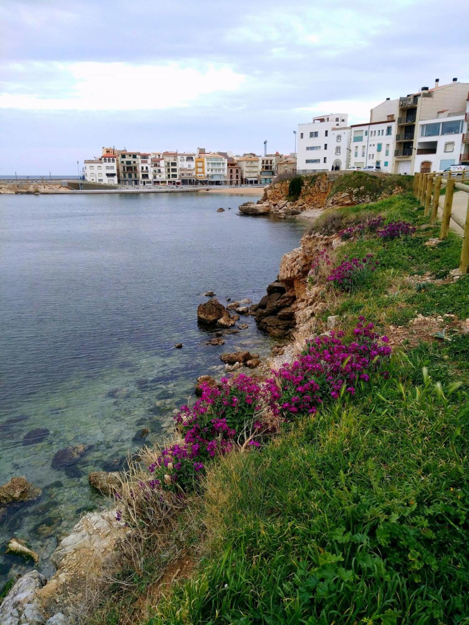 Passeig Del Mar Lejlighed L' Escala Eksteriør billede
